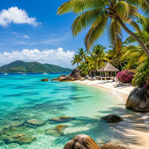David Alan Johnson - 'Another Day In Paradise (Caribbean Pop)' [Ringtone]