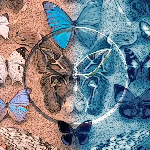 Ánimma - 'Perspectiva' [Ringtone]