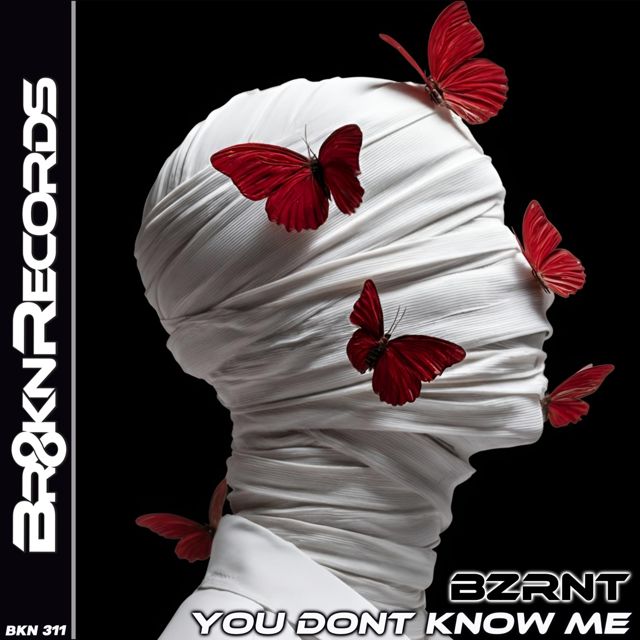 Bzrnt - 'You Dont Know Me' [Ringtone]