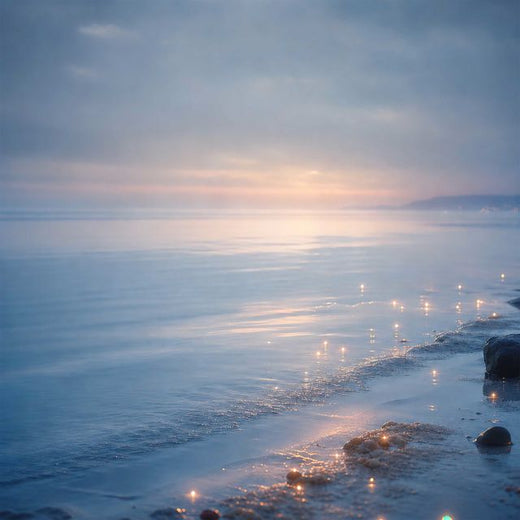 ShunCao - 'Slow Salt Light' [Ringtone]