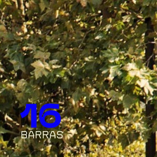 CHARPI MC - '16 BARRAS' [Ringtone]