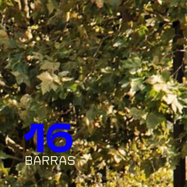 CHARPI MC - '16 BARRAS' [Ringtone]