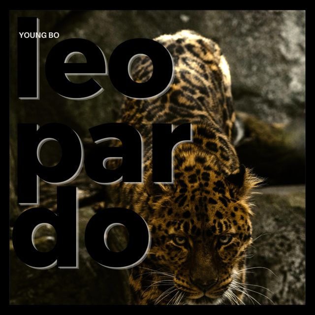 Young Bo - 'LEOPARDO' [Ringtone]