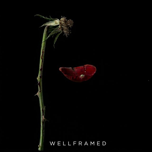 WellFramed - 'Welcome to the show' [Ringtone]