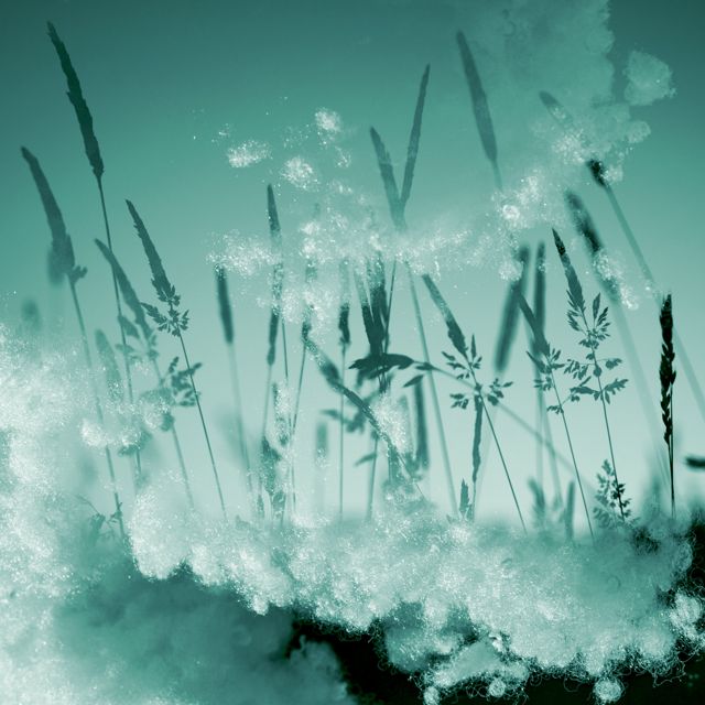 Cloud Static - 'Love Me Forever' [Ringtone]