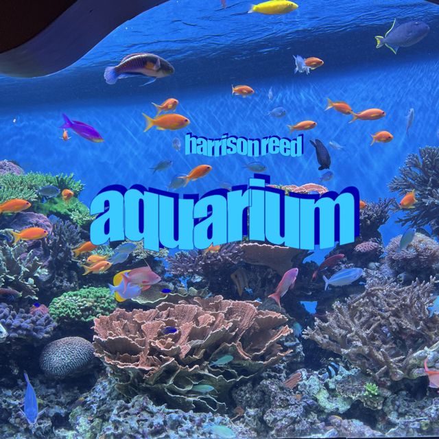Harrison Reed - 'aquarium (live)' [Ringtone]