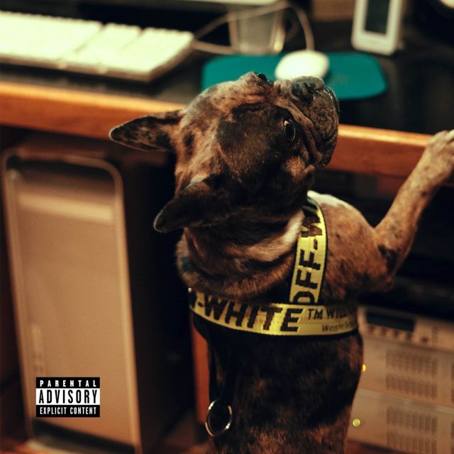 Kenny Solis - 'See Some' [Ringtone]