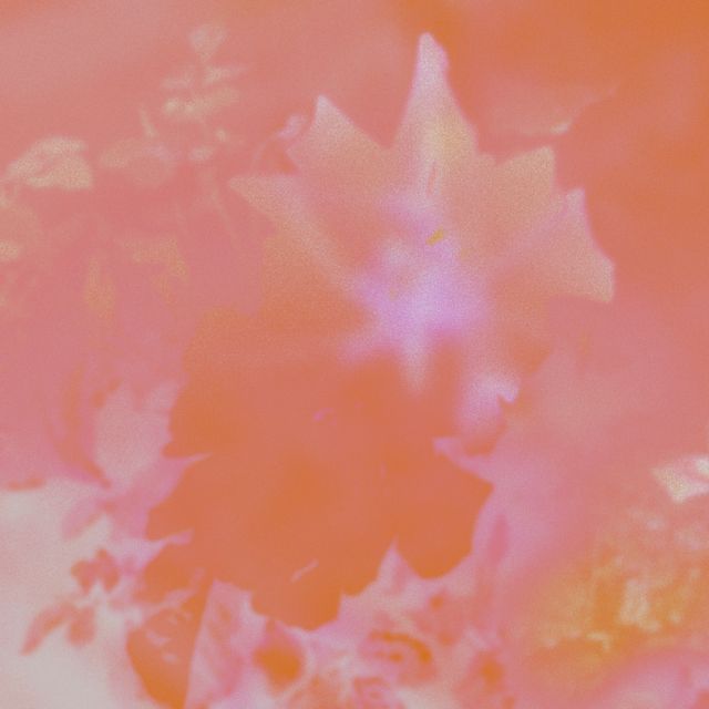 Luz No Estrella - 'Amigan't' [Ringtone]