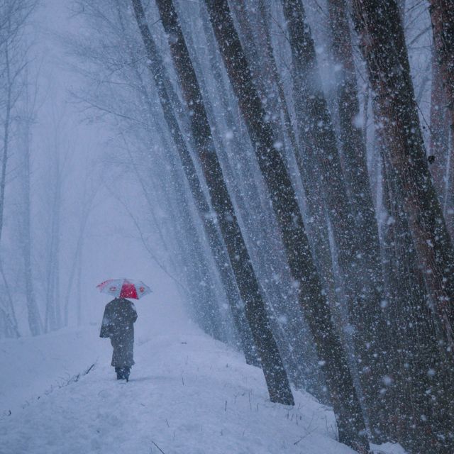 Flashsonic - 'Rain Into Snow' [Ringtone]