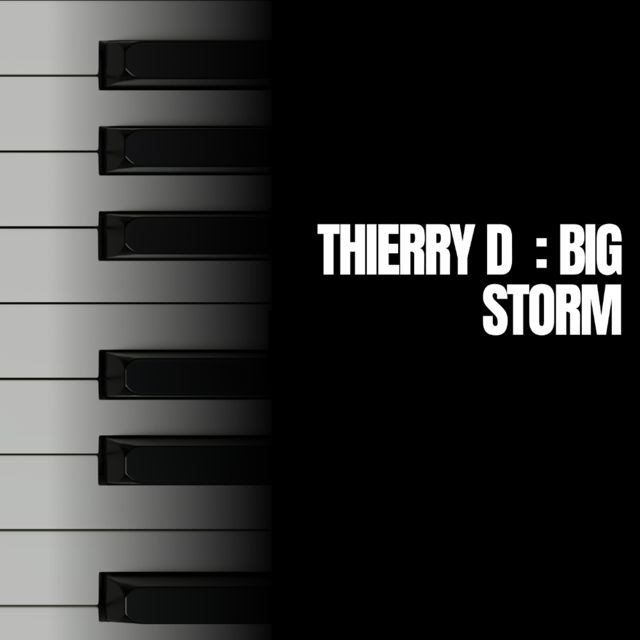 Thierry D - 'WAR ZONE (VIP 2025)' [Ringtone]