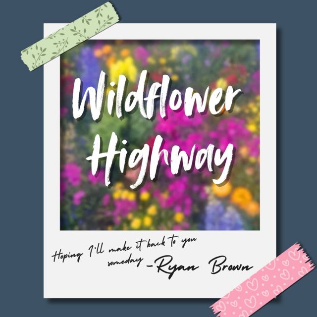 Ryan Brown - 'Wildflower Highway' [Ringtone]