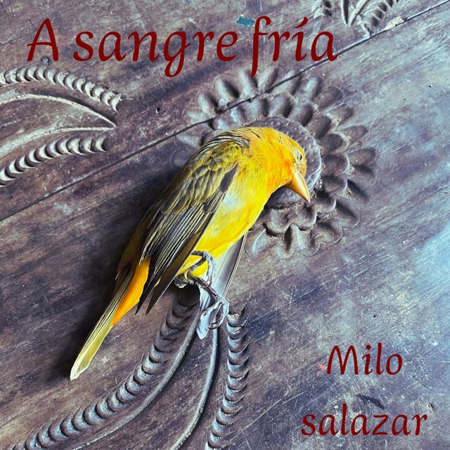 Milo Salazar - 'A sangre fría' [Ringtone]