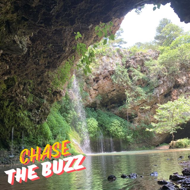 Colt Ball - 'Chase the Buzz' [Ringtone]