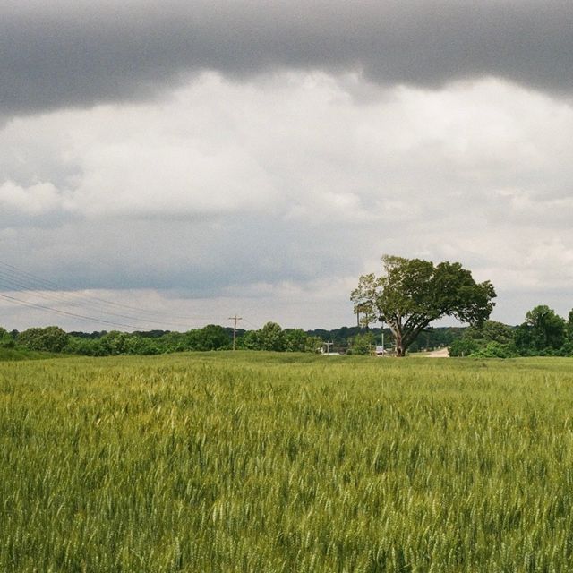 Owen - 'Closure (feat. The Smokes)' [Ringtone]