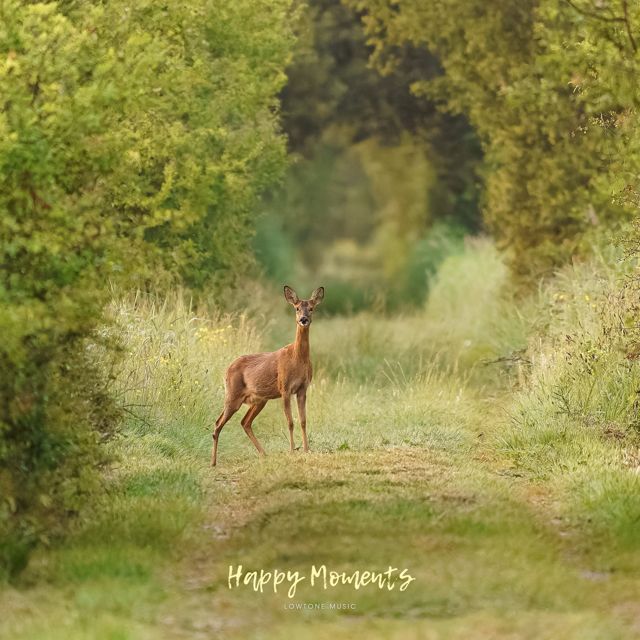 Lowtone Music - 'Happy Moments' [Ringtone]