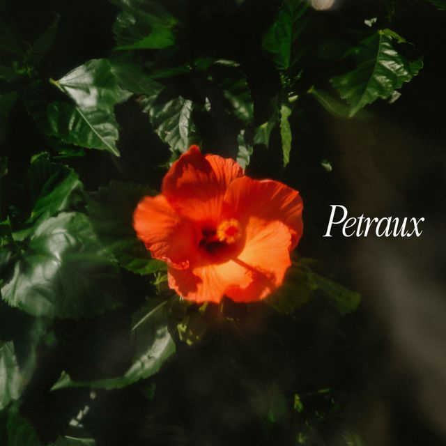 Petraux - 'Flower Bed' [Ringtone]