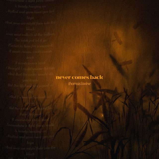 Thomas LaVine - 'Never Comes Back' [Ringtone]