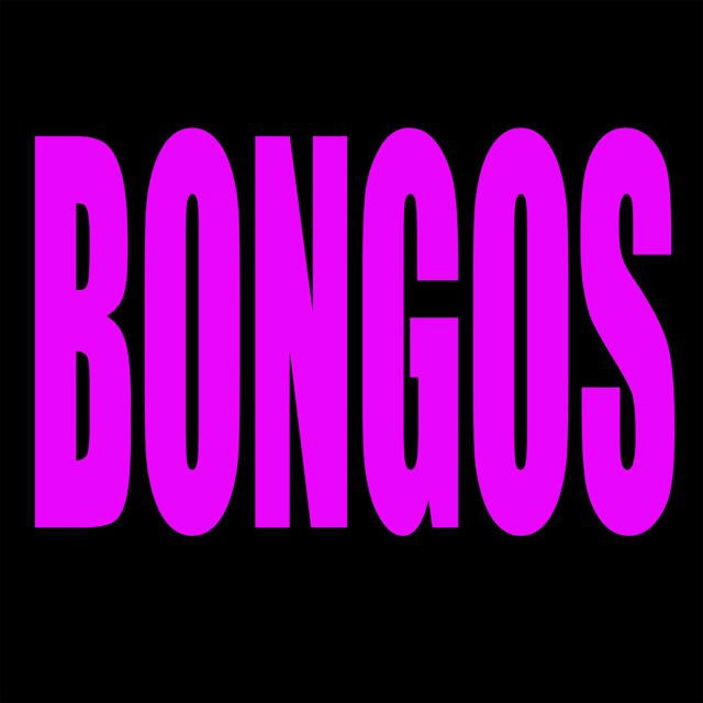 2 Hype Chixxx - 'Bongos' [Ringtone]