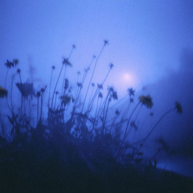 leapyear - 'high hopes (feat. Blu Velvet)' [Ringtone]