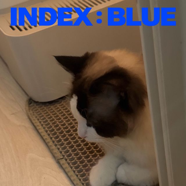 INDEX:BLUE - 'New Alias' [Ringtone]