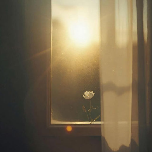 Dariya - 'Silent Healing' [Ringtone]