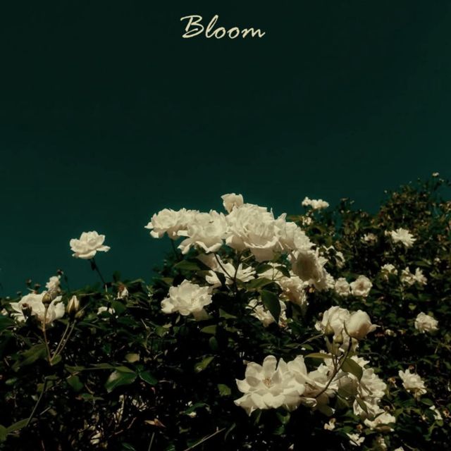 Karmawin - 'Bloom' [Ringtone]