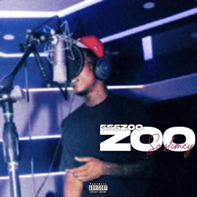 556Zoo - 'Thin Ice' [Ringtone]