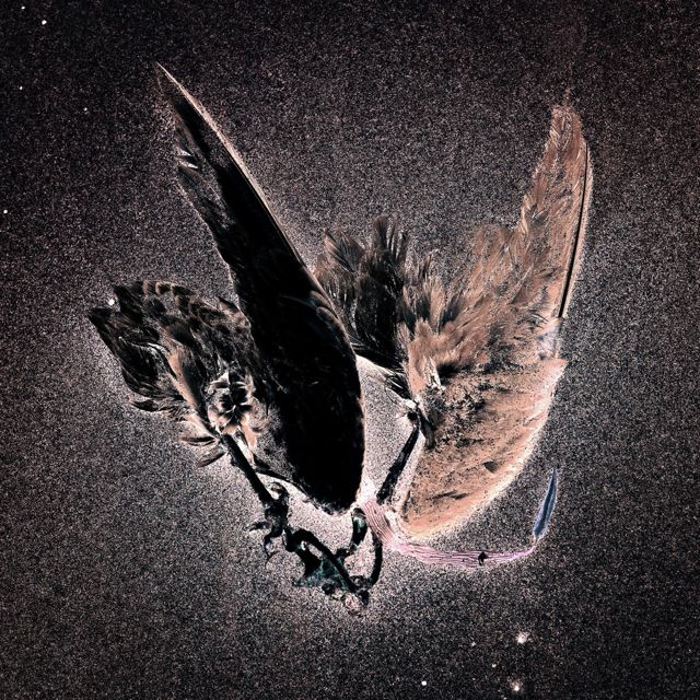 HALLUX - 'CIRCULAR' [Ringtone]