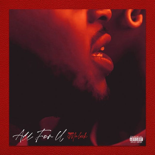 Imsomaleek - 'All For U' [Ringtone]