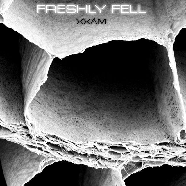 Xxäm - 'Freshly Fell (Single ReMix)' [Ringtone]
