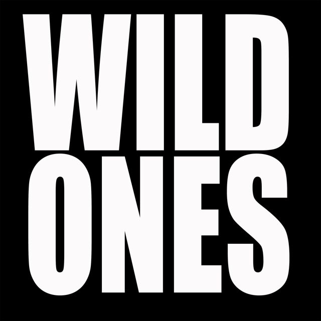 Dj Boojee Rama - 'Wild Ones' [Ringtone]