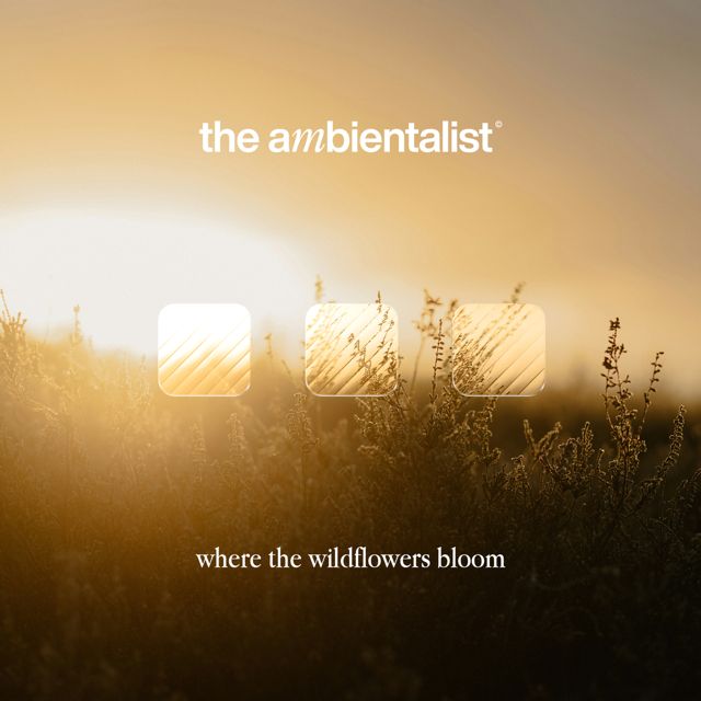 The Ambientalist - 'Where The Wildflowers Bloom' [Ringtone]