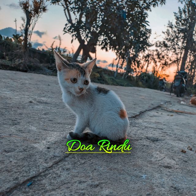 Syahrul - 'Doa Rindu' [Ringtone]
