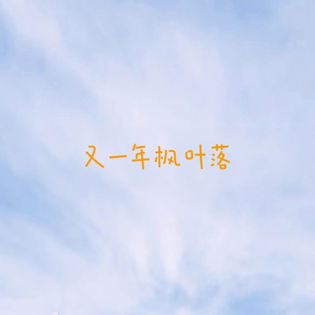 白兰滴 - '又一年枫叶落' [Ringtone]