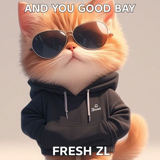 Fresh ZL - 'and you good bay' [Ringtone]