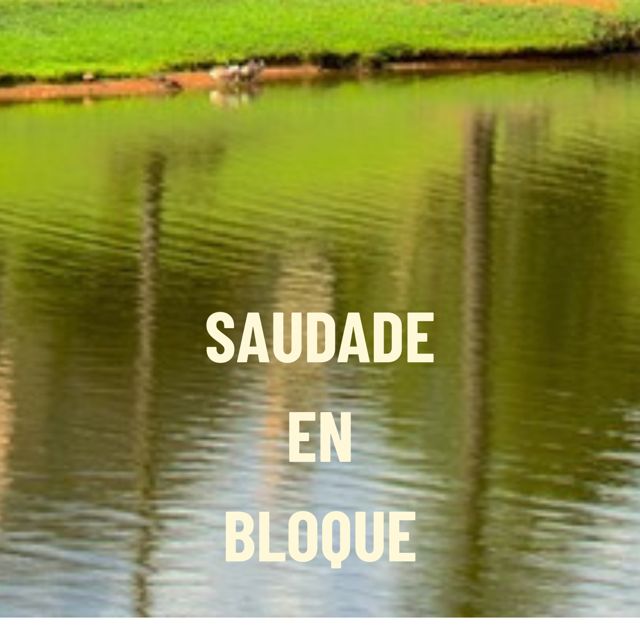 CHARPI MC - 'saudade en bloque' [Ringtone]