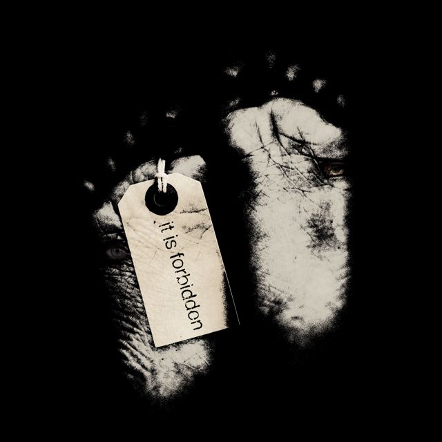 it is forbidden - 'Will You Kill Yourself?! (feat. A Darker Shade of Black)' [Ringtone]