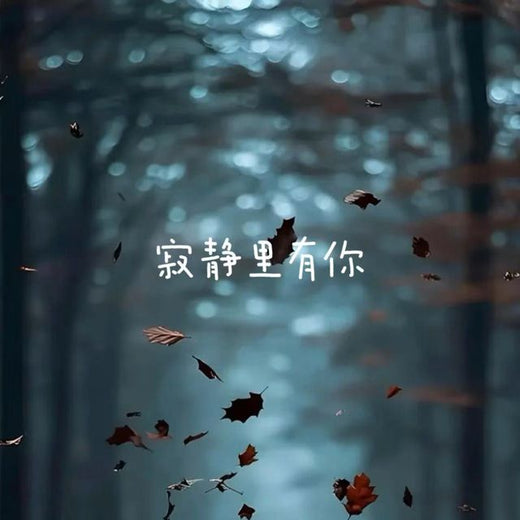 半噸兄弟 - '寂静里有你' [Ringtone]