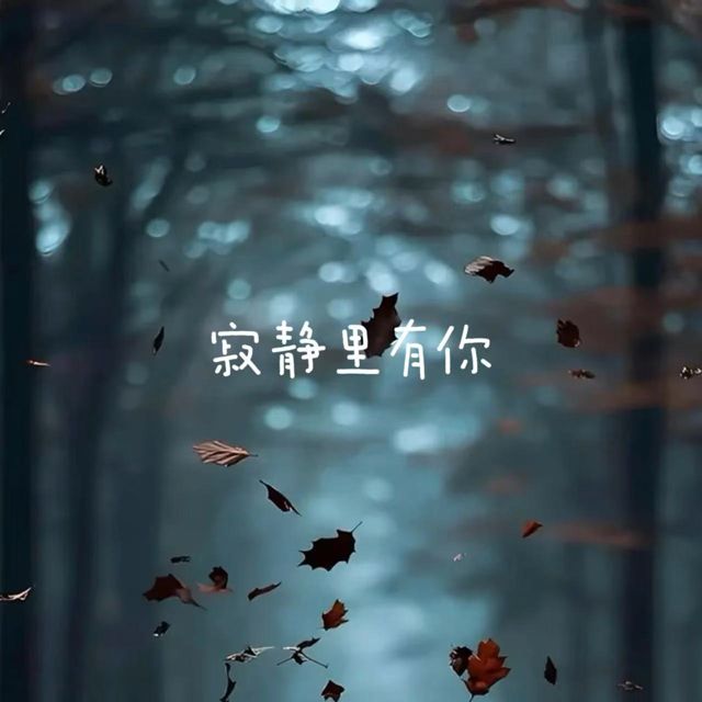 半噸兄弟 - '寂静里有你' [Ringtone]