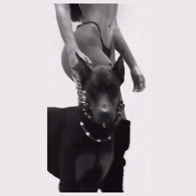 Skillkat - 'No siento na' [Ringtone]