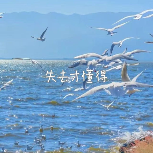 林诗曼 - '失去才懂得' [Ringtone]