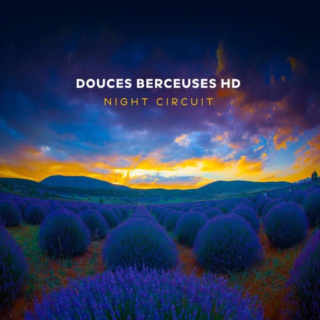 Night Circuit - 'Thoughts Detail' [Ringtone]