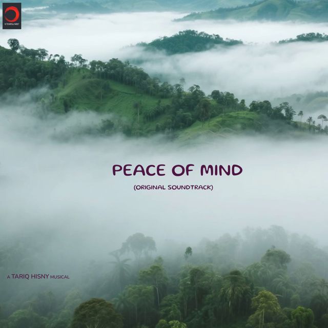 Tariq Hisny - 'Mindfulness 2' [Ringtone]