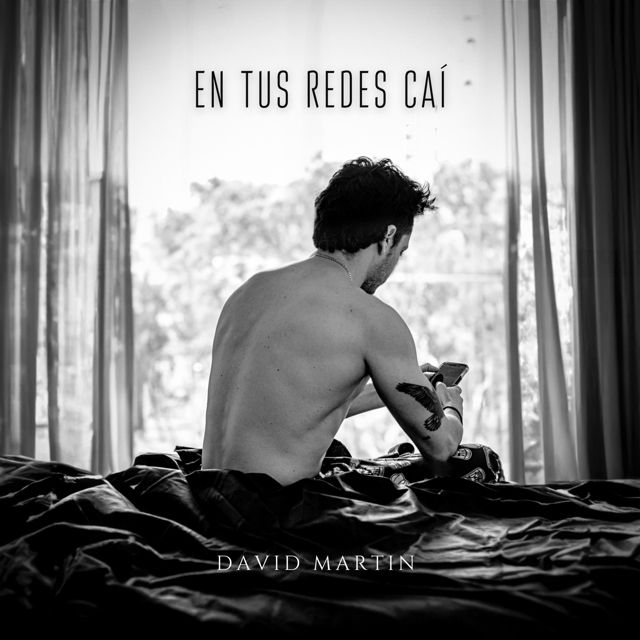 David Martin - 'En Tus Redes Caí' [Ringtone]