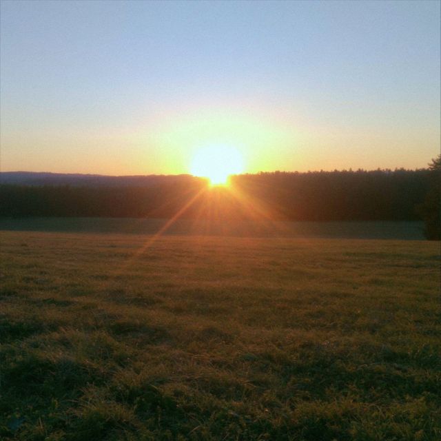 Inlirium - 'warm evenings' [Ringtone]