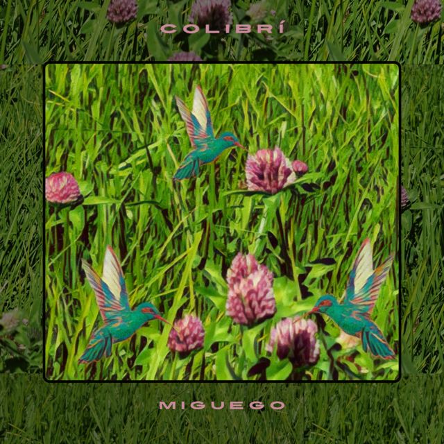 MIGUEGO - 'Colibrí' [Ringtone]