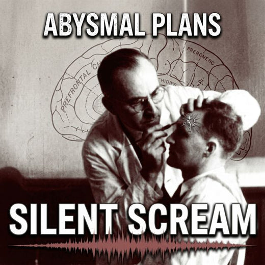 Abysmal Plans - 'Silent Scream' [Ringtone]