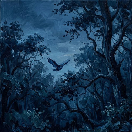 Nícolas Herrera - 'The Owl' [Ringtone]