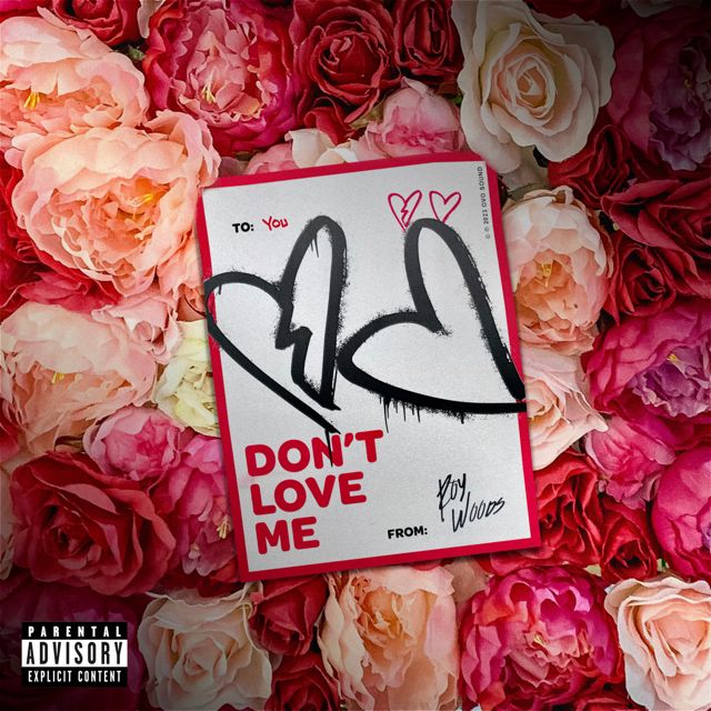 Roy Woods - 'Don't Love Me' [Ringtone]