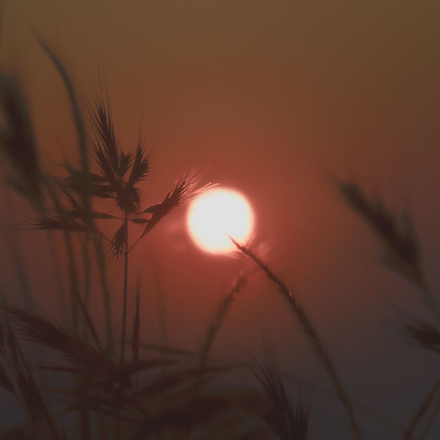 Morning Haze - 'Disappear' [Ringtone]